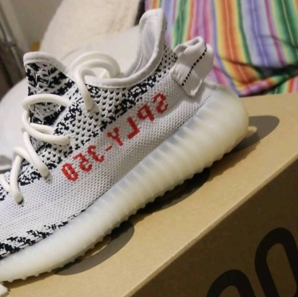 Zebra Yeezy